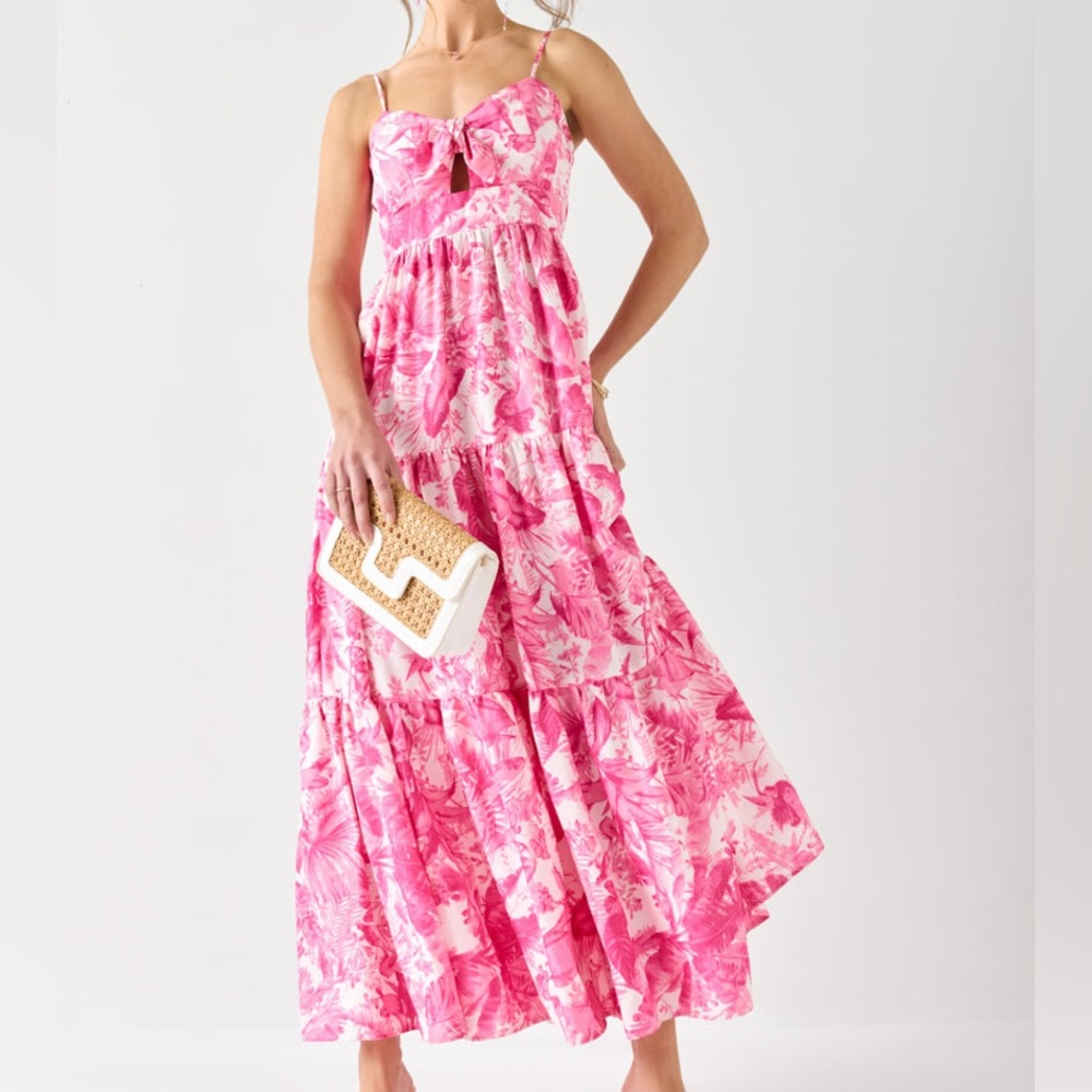 Francesca's Collections Pink Floral Maxi Dress